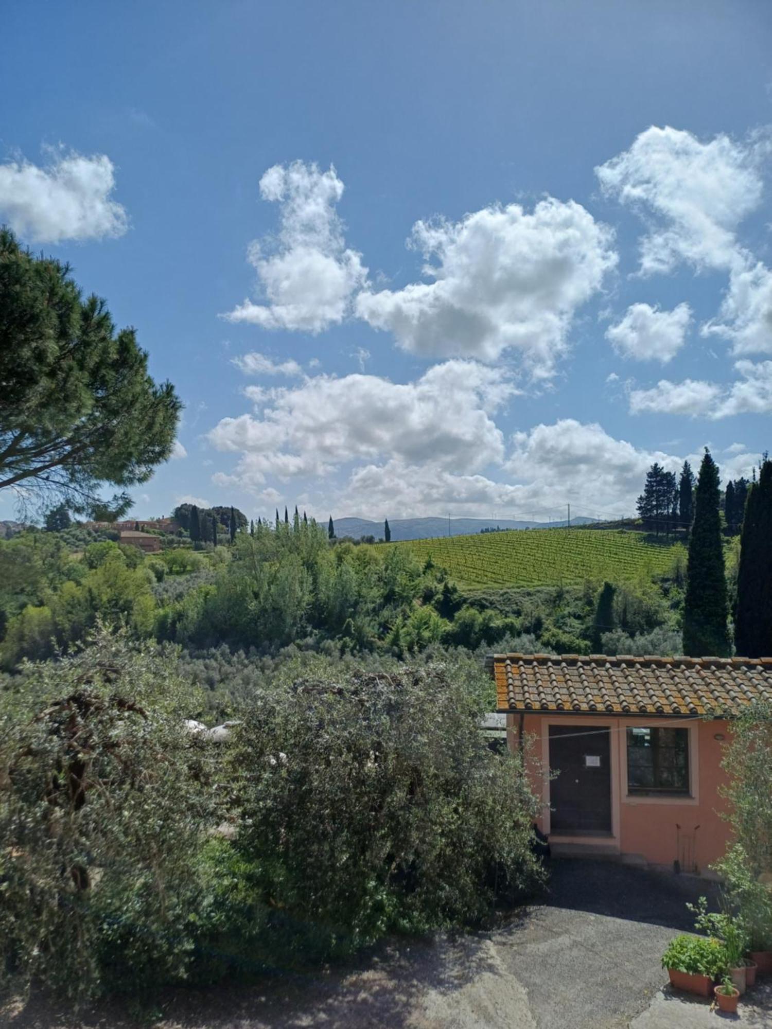 Agriturismo Terre Di Toscana Terricciola Exterior photo